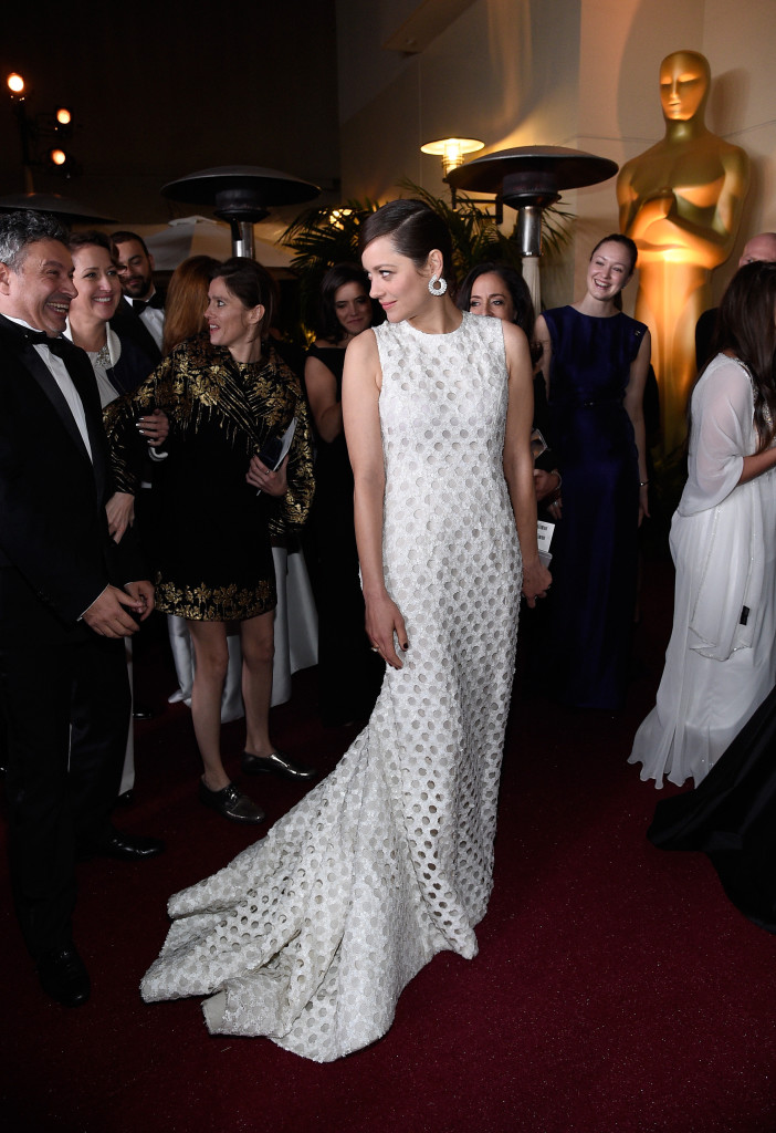 oscar best actress marion cotillard best actress nominee marion cotillard the 2015 governors oscar best actress marion cotillard best actress nominee marion cotillard the 2015 governors