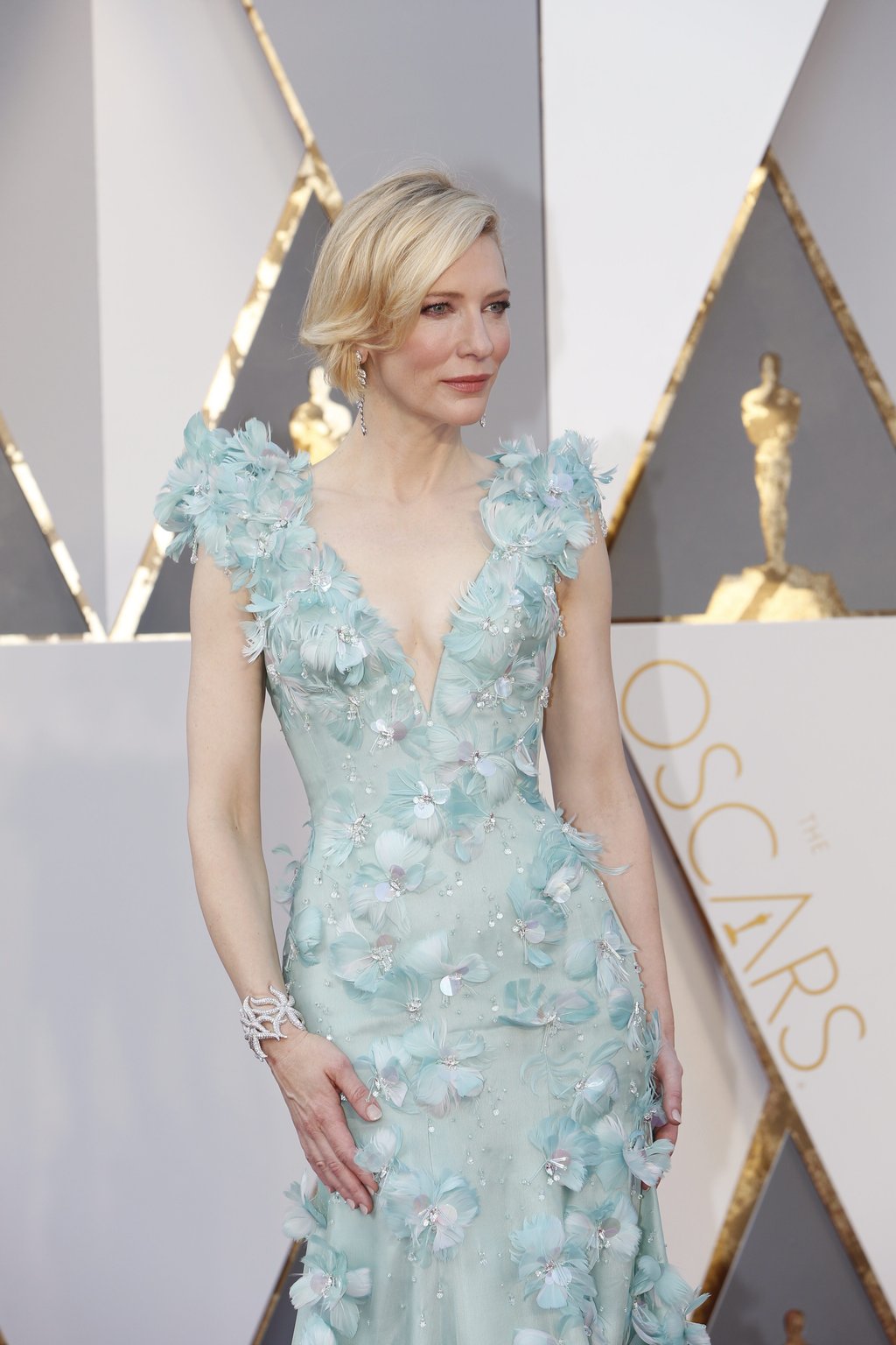 Cate Blanchett - Oscars Red Carpet Arrivals: 2016 Oscar Nominees on the